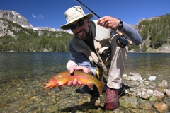 Nice golden trout,eh?