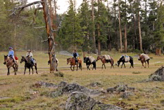 Wind River Mountains, real cowboys.